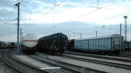 Un train de fret en gare de Drancy (Seine-Saint-Denis), le 22 novembre 2007.&nbsp; (JEAN AYISSI / AFP)