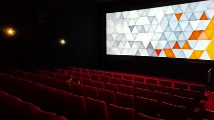 Une salle de cinéma à Orléans (Loiret). (Pierre-Antoine Lefort)