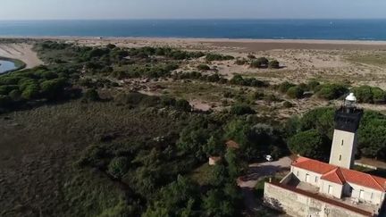 Ma baignade : la plage de l'Espiguette