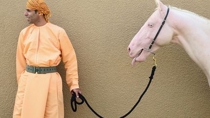 Un homme patiente avec un cheval albinos avant de d&eacute;filer en l'honneur du prince Charles et de son &eacute;pouse Camilla en visite &agrave; Muscat (Sultanat d'Oman), le 18 mars 2013. (CHRIS JACKSON / GETTY IMAGES)