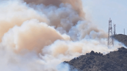 Pyrénées-Orientales : un incendie attisé par le vent à Cerbère (France 2)