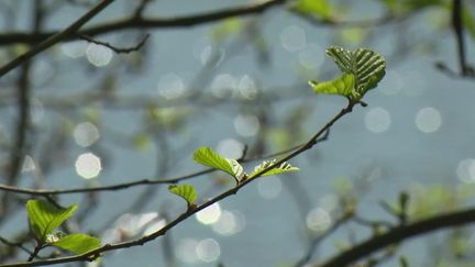 Météo : le beau temps va-t-il durer ? (France 2)