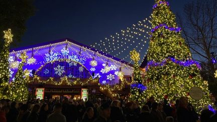 Le parc à thème affirme avoir disposé plus de 10&nbsp;millions de lumières. (GREGORY PHILIPPS / RADIO FRANCE)