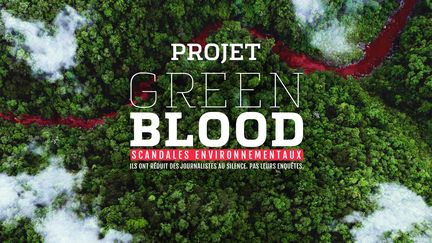 Image d'un drone&nbsp;montrant une vue aérienne d'une route sur une forêt, illustrant la série de documentaires "Projet Green Blood". (GETTY IMAGES / FORBIDDEN FILMS ET FRENCH KISS PICTURES)