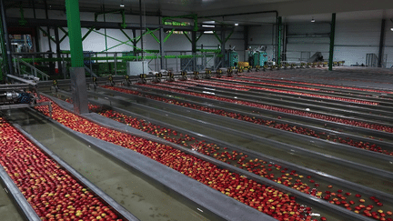 Noël : l’énorme don de pommes fait aux Restos du Cœur (France 2)