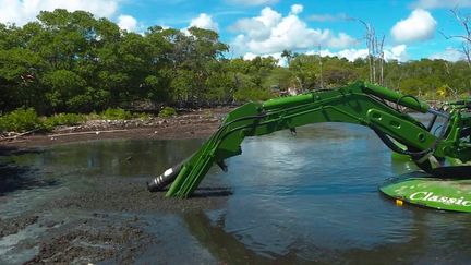 Martinique : un nouvel appareil pour lutter contre les sargasses