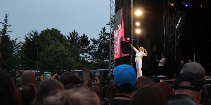 Blondie a fait danser toutes les générations dans le public du festival de Beauregard.
 (Claire Digiacomi)