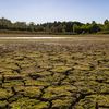 La sécheresse dans le Gers, le 11 août 2022. (ISABELLE SOURIMENT / HANS LUCAS / AFP)