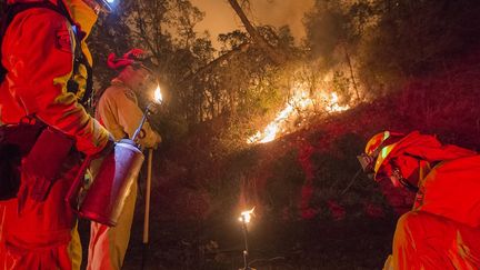 Toujours le combat de la compagnie californienne de pompiers pour combattre le Rocky fire (nom donn&eacute; &agrave; l'incendie) autour du lac Clear. (JOSH EDELSON / AFP)