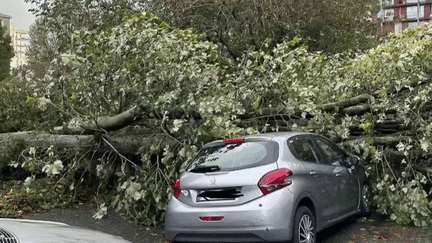 La tempête Ciaran a frappé la France, dans la nuit du mercredi 1er au jeudi 2 novembre. Elle a causé de nombreux dégâts dans le Finistère, notamment à Brest. (France 2)