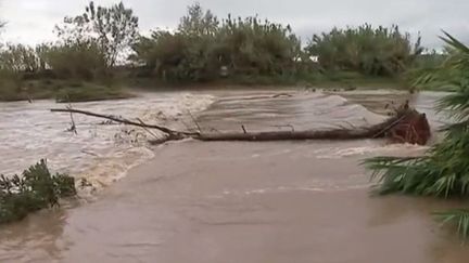 Intempéries : 1 000 personnes évacuées dans l'Hérault, une femme emportée par les eaux