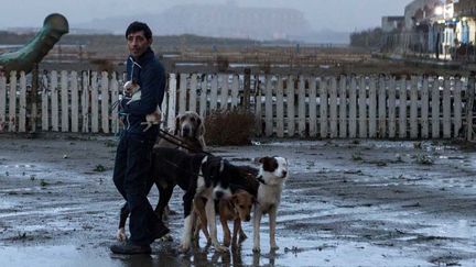 Le casting du film "Dogman" de Matteo Garrone a ébloui le jury qui lui a remis la Palm Dog ce vendredi à 13h.
 (Le Pacte)