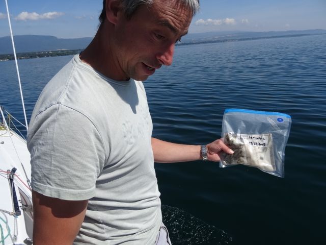 L'un des échantillons de plastique collectés sur le lac Léman.&nbsp; (JEREMIE LANCHE/RADIOFRANCE)