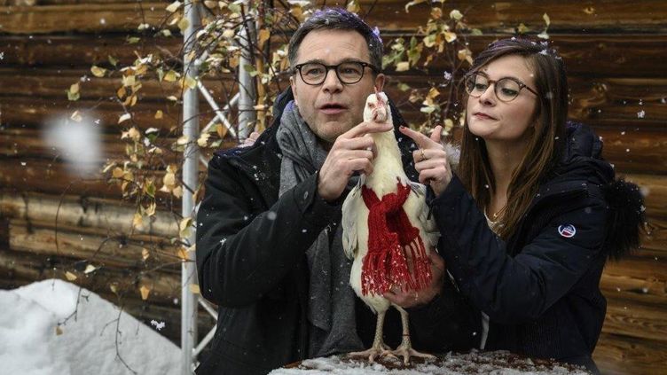 Roxane Une Poule Vedette D Une Comedie Rurale Au Cote De Guillaume De Tonquedec