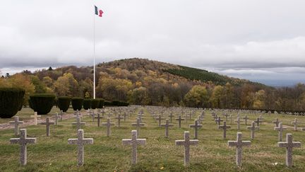 Le cimetière du&nbsp;Hartmannswillerkopf, dans le Bas-Rhin, le 10 novembre 2017. (PATRICK SEEGER / EPA)