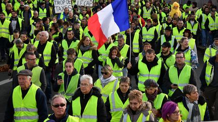 Des "gilets jaunes" manifestent contre l'augmentation des taxes sur le carburant, le 24 novembre 2018 à Rochefort (Charente-Maritime).&nbsp; (XAVIER LEOTY / AFP)