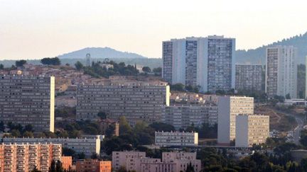 La cité de la Bricarde à Marseille.&nbsp; (GERARD JULIEN / AFP)