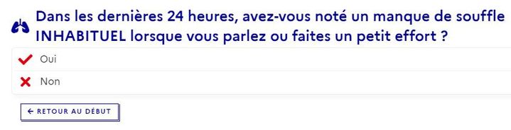 Capture d'écran du questionnaire sur le coronavirus mis en ligne par le gouvernement, le 8 avril 2020. (MINISTERE DE LA SANTE)