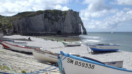 Plages et falaises d'Etretat (Seine-Maritime). (D. MAEHRMANN / BLICKWINKEL)