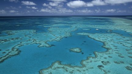 Vue aérienne de la&nbsp;Grande barrière de corail australienne. (THIERRY GRUN / AFP)