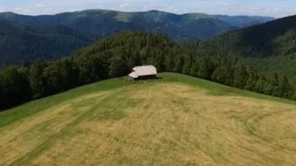 Été gourmand : étape dans les Vosges