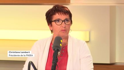 Christiane Lambert, présidente de la FNSEA,&nbsp;mardi 28 août. (RADIO FRANCE)