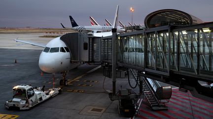 Environnement : faut-il arrêter de prendre l'avion ?