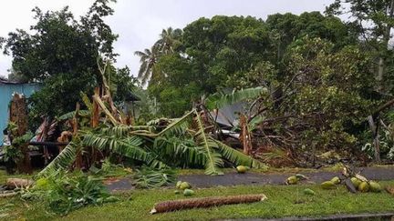 Cyclone Donna : la Nouvelle-Calédonie durement frappée