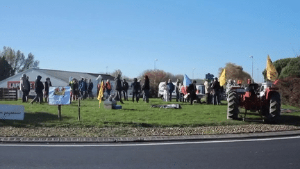 Colère des agriculteurs : plusieurs rassemblements, la FNSEA appelle à une mobilisation nationale dès lundi