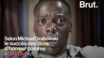 Les frissons, les sensations... Le professeur Michael Grabowsk explique pourquoi on adore avoir peur devant des films d'horreur.