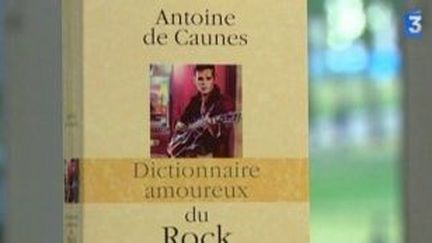 &quot;Dictionnaire amoureux du rock&quot; de Antoine de Caunes
 (Culturebox)