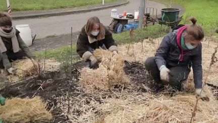 Des&nbsp;villes tentent de verdir le paysage urbain, notamment en faisant pousser des minis-forêts grâce à la méthode d'Akira Miyawaki, du nom d'un&nbsp;botaniste japonais. (CAPTURE ECRAN FRANCE 2)