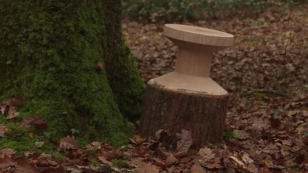 100 tabourets en bois, des pièces uniques numérotées, ont été cachés dans la forêt de Bercé&nbsp; (Capture d'image / France Télévisions)