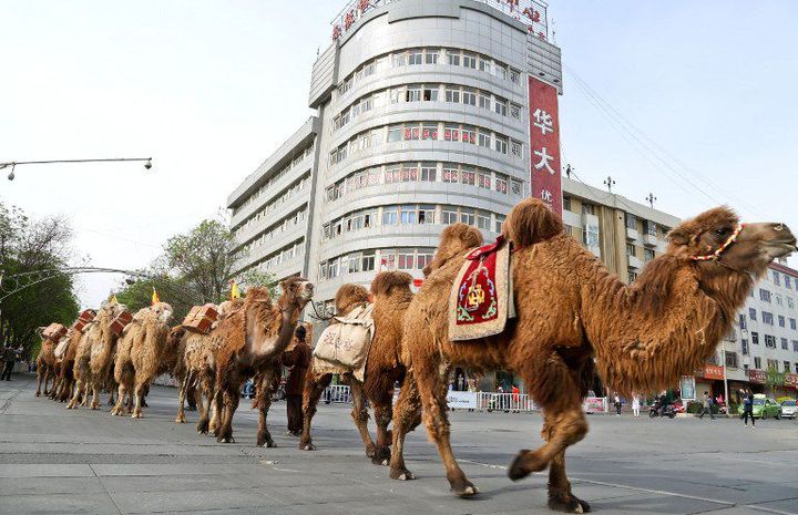 Marchands de thé sur l'ancienne route de la soie, le 5 mai 2015. (AFP/wang jiang/imagine china)