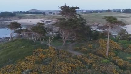 Ille-et-Vilaine : bloqué depuis des années, le sentier littoral de Saint-Briac va être ouvert à tous