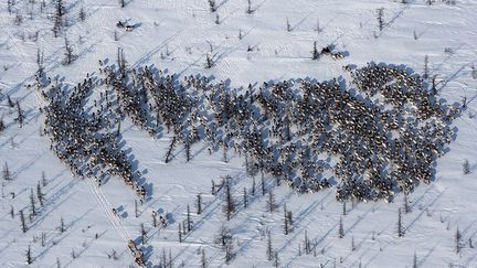 ... (Yann Arthus-Bertrand)