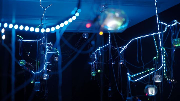 The immersive exhibition "Electronic critters" by the artist Marylou was also to be discovered during the festival "Other shapes" from Besançon.  (France 3 Franche-Comté: E. Deshayes / D. Martin / Q. Dany)