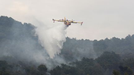 Un Canadair lâche de l'eau pour éteindre le feu sur Saint-Cézaire, dans les Alpes-Maritimes, le 1er août 2017. (VALERY HACHE / AFP)