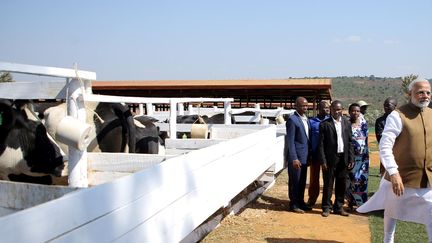 Le Premier ministre indien Narendra Modi, dans le village témoin de Rweru, au sud de la capitale Kigali, le 24 juillet 2018. (Jean BIZIMANA / REUTERS)