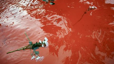 Des fleurs blanches ont été jetées, le 31 juillet 2019, dans la fontaine publique nantaise dont l'eau a été colorée en rouge après l'annonce de la mort de Steve Maia Caniço. (ALAIN PITTON / AFP)