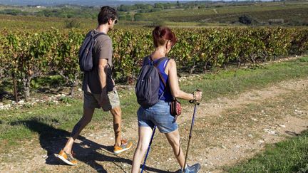 Randonnée au milieu des vignobles de Saint-Christol, dans l'Hérault.&nbsp; (JEAN-MARC LALLEMAND / MAXPPP)