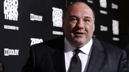 Le com&eacute;dien am&eacute;ricain James Gandolfini lors de la premi&egrave;re du film "Zero Dark Thirty", le 10 d&eacute;cembre 2012 &agrave; Hollywood (Californie, &Eacute;tats-Unis). (MARIO ANZUONI / REUTERS)