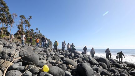 Des volontaires parcourent une plage de Sainte-Marie de La R&eacute;union &agrave; la recherche d'&eacute;ventuels d&eacute;bris de l'avion malaisien disparu. (RICHARD BOUHET / AFP)