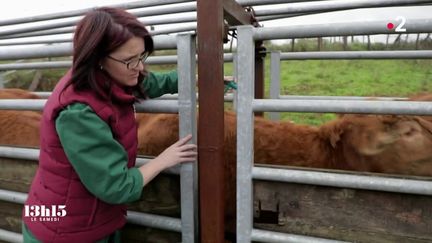 VIDEO. Dordogne. S'occuper seulement d'animaux d'élevage n'est pas rentable pour une vétérinaire en milieu rural