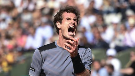 Andy Murray qualifié pour sa troisième demi-finale à Roland-Garros