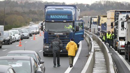 Une centaine de camions bloquent l'autoroute A63 entre Bayonne et Biarritz, le 1er d&eacute;cembre 2013.&nbsp; (  MAXPPP)