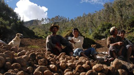 &nbsp; (Des paysans de la région d'Apurimac, au sud du pays, après la récolte ©maxppp)