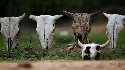  (Ueslei Marcelino/REUTERS)