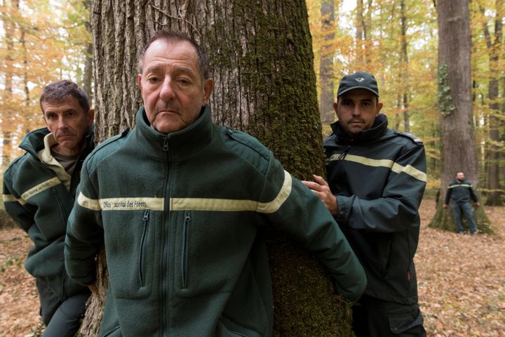 Des agents de l'Office national des forêts du Vaucluse et des Bouches-du-Rhône réunis à Saint-Bonnet-Tronçais (Allier), le 25&nbsp;octobre 2018. (THIERRY ZOCCOLAN / AFP)