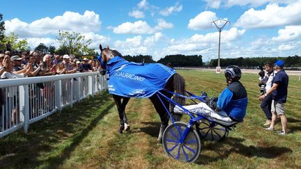 Timoko, le cheval star du trot est acclamé par la foule à Langon en Gironde. (FLORENCE PERUSIN/RADIO FRANCE)